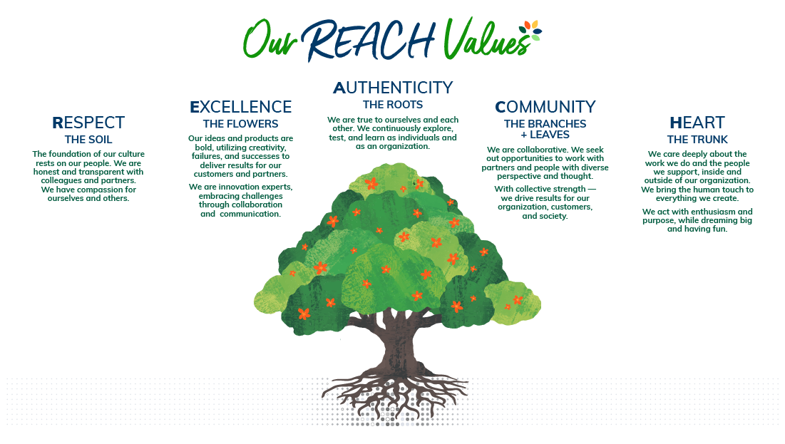 REACH values_transparent